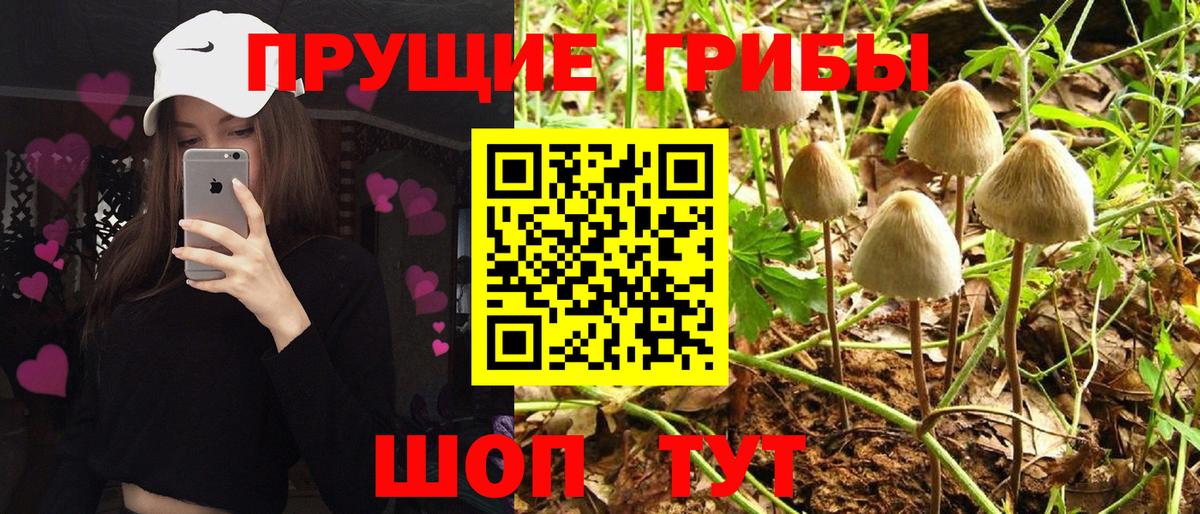Галлюциногенные грибы прущие грибы  Вход с VPN  Мирный 